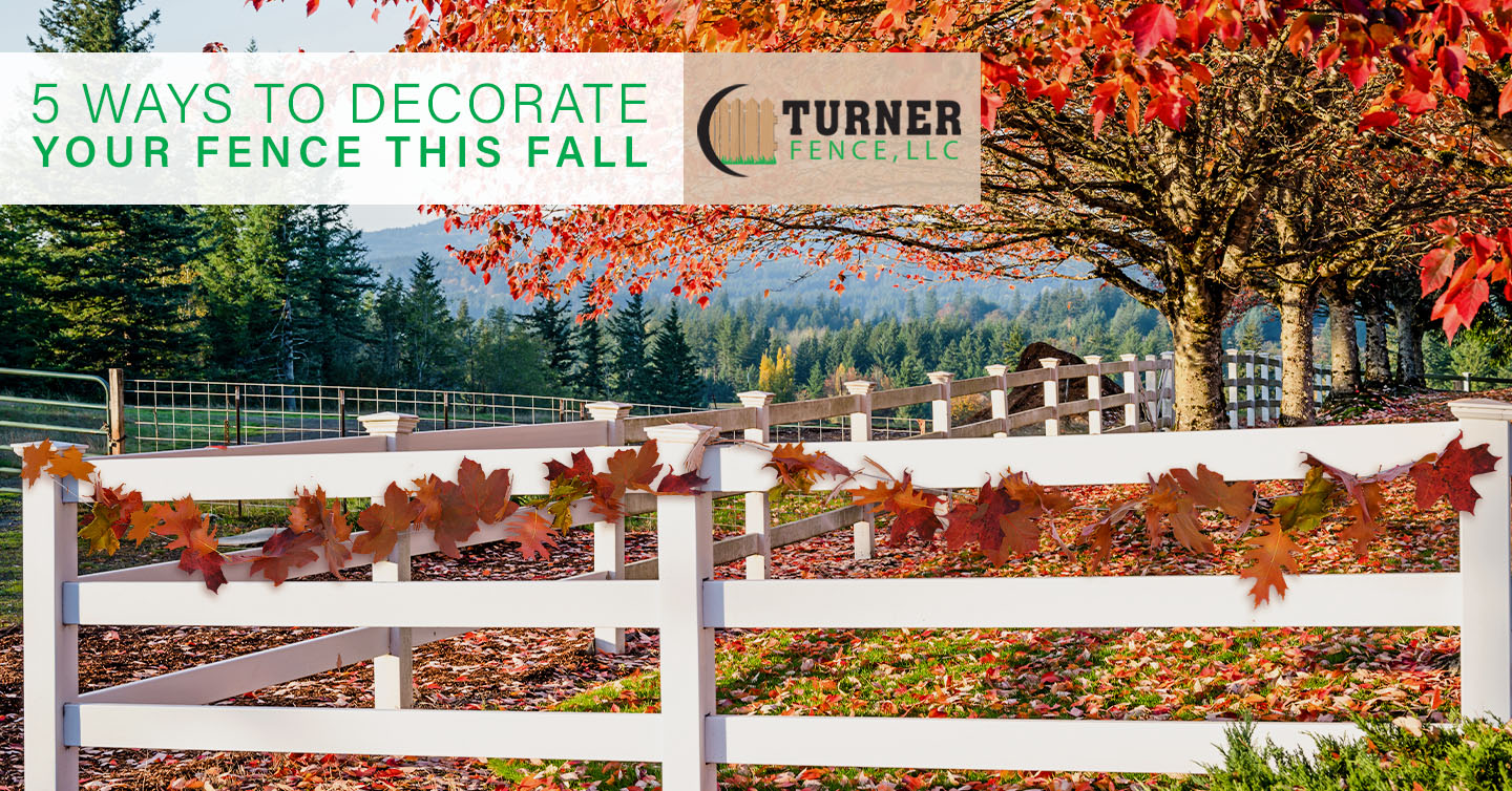 You are currently viewing 5 Ways to Decorate Your Fence This Fall