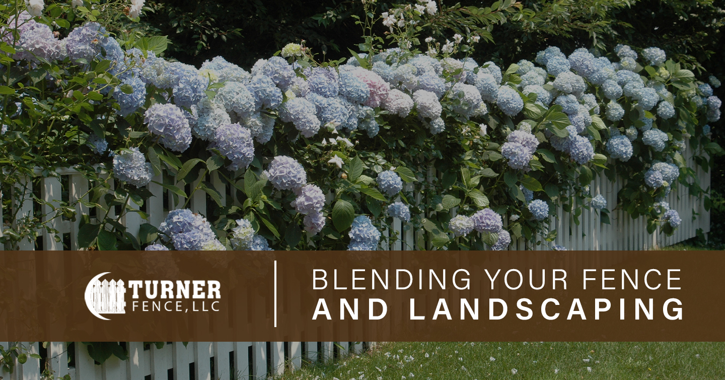 Read more about the article Blending Your Fence and Landscaping